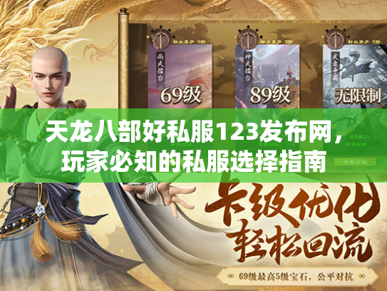 天龙八部好私服123发布网，玩家必知的私服选择指南  第3张
