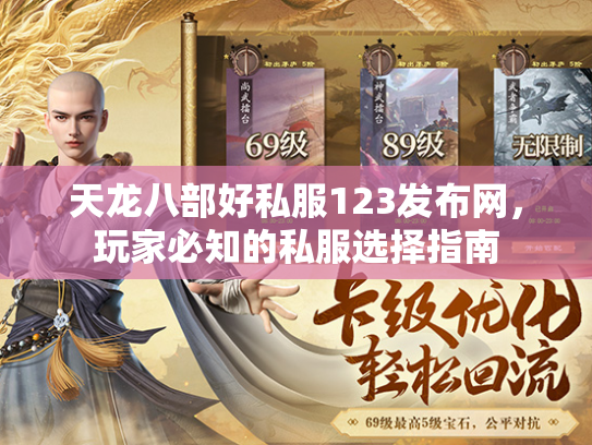 天龙八部好私服123发布网，玩家必知的私服选择指南  第1张