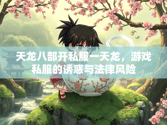 天龙八部开私服一天龙，游戏私服的诱惑与法律风险  第4张