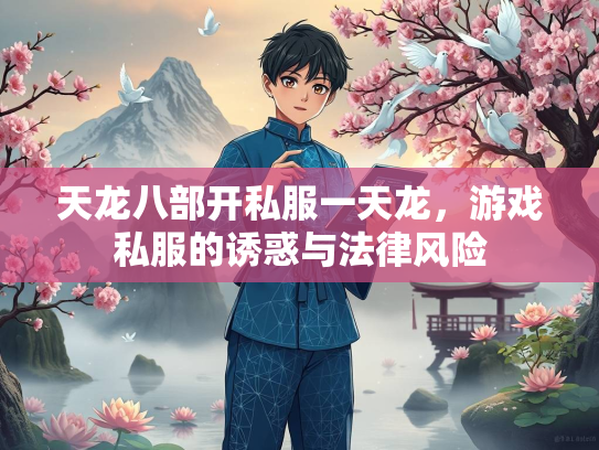天龙八部开私服一天龙，游戏私服的诱惑与法律风险  第1张