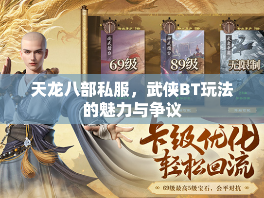 天龙八部私服，武侠BT玩法的魅力与争议  第2张