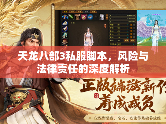 天龙八部3私服脚本，风险与法律责任的深度解析  第2张