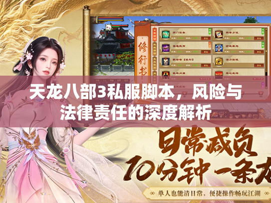 天龙八部3私服脚本，风险与法律责任的深度解析  第3张