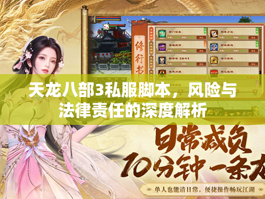 天龙八部3私服脚本，风险与法律责任的深度解析  第1张