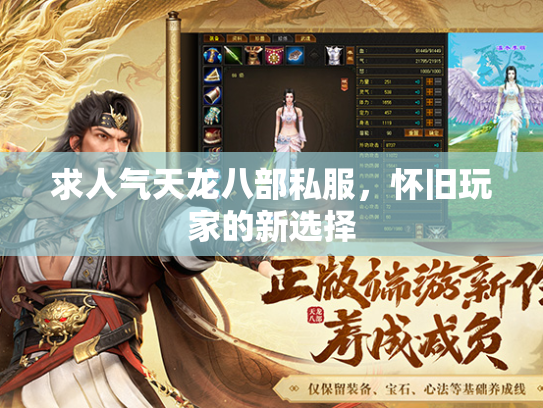 求人气天龙八部私服，怀旧玩家的新选择  第2张