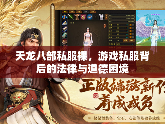 天龙八部私服裸，游戏私服背后的法律与道德困境  第1张