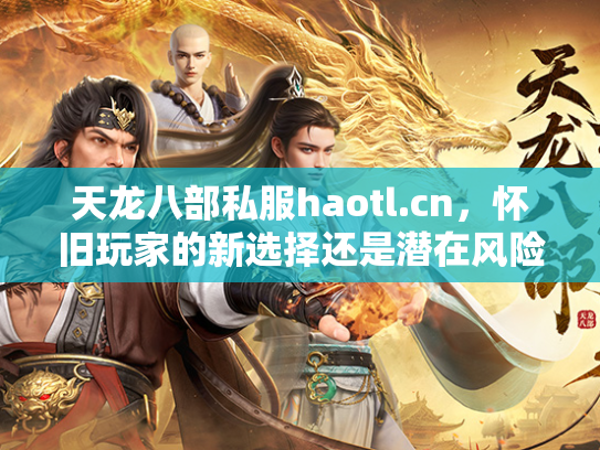天龙八部私服haotl.cn，怀旧玩家的新选择还是潜在风险？  第2张