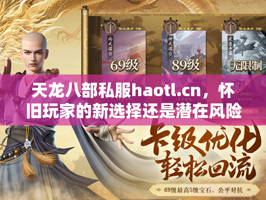 天龙八部私服haotl.cn，怀旧玩家的新选择还是潜在风险？  第1张
