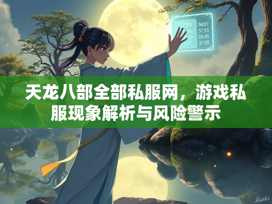 天龙八部全部私服网，游戏私服现象解析与风险警示  第3张