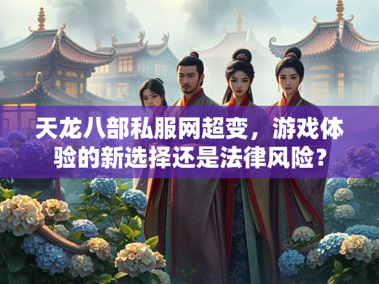 天龙八部私服网超变，游戏体验的新选择还是法律风险？