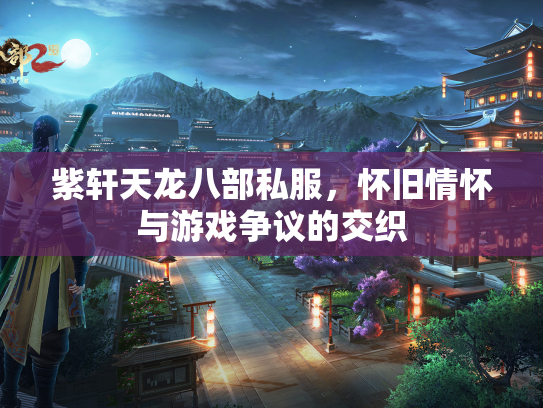 紫轩天龙八部私服，怀旧情怀与游戏争议的交织  第2张