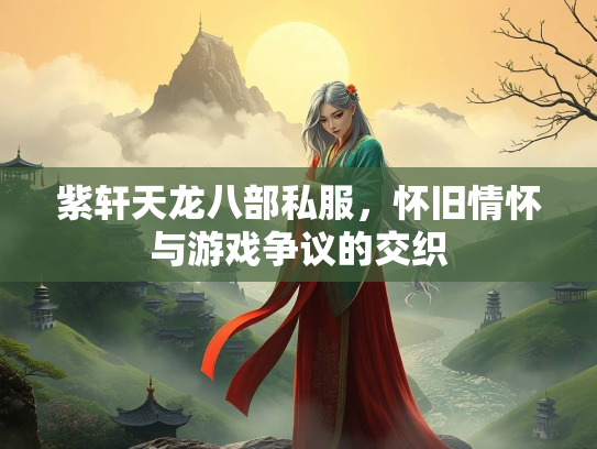紫轩天龙八部私服，怀旧情怀与游戏争议的交织  第1张