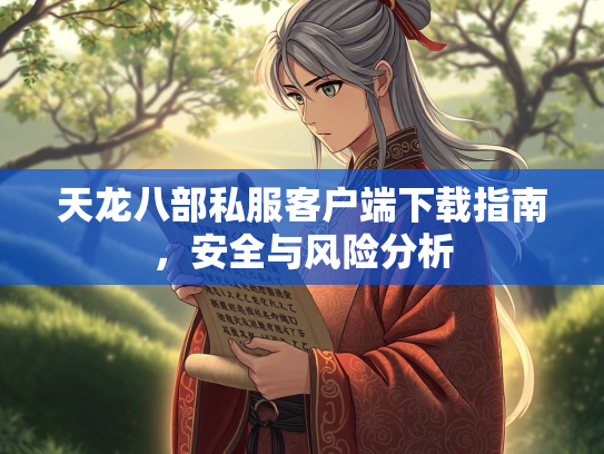 天龙八部私服客户端下载指南，安全与风险分析  第2张