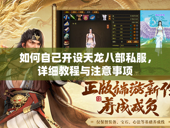 如何自己开设天龙八部私服，详细教程与注意事项  第2张
