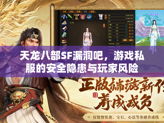 天龙八部SF漏洞吧，游戏私服的安全隐患与玩家风险  第2张