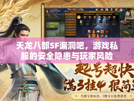 天龙八部SF漏洞吧，游戏私服的安全隐患与玩家风险  第1张