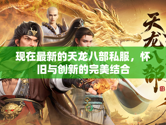 现在最新的天龙八部私服，怀旧与创新的完美结合  第3张