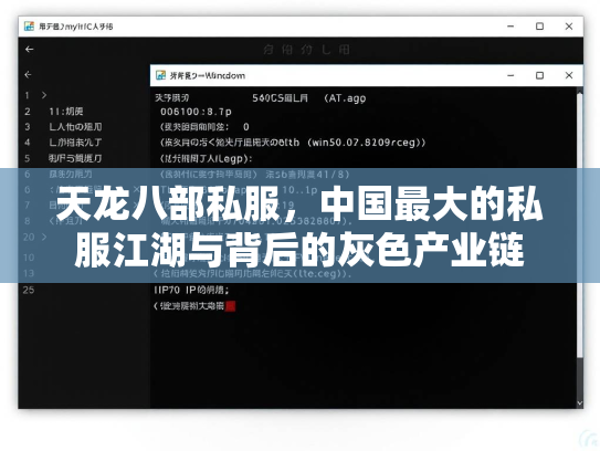 天龙八部私服，中国最大的私服江湖与背后的灰色产业链  第3张