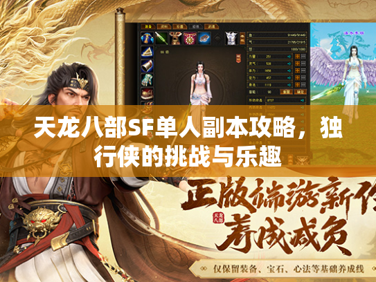 天龙八部SF单人副本攻略，独行侠的挑战与乐趣  第4张