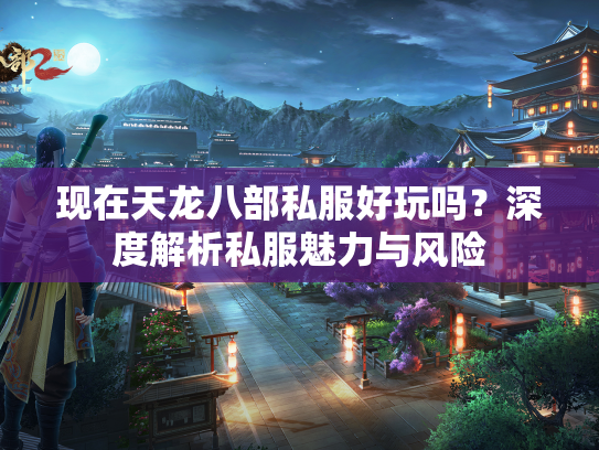 现在天龙八部私服好玩吗？深度解析私服魅力与风险  第2张