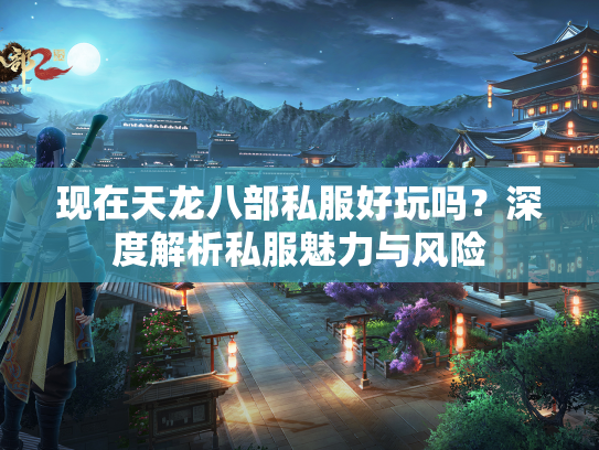 现在天龙八部私服好玩吗？深度解析私服魅力与风险  第3张