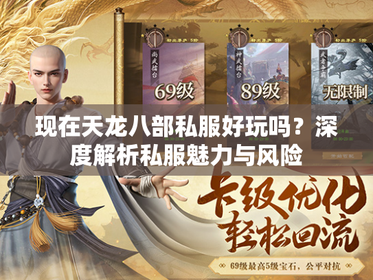 现在天龙八部私服好玩吗？深度解析私服魅力与风险  第1张