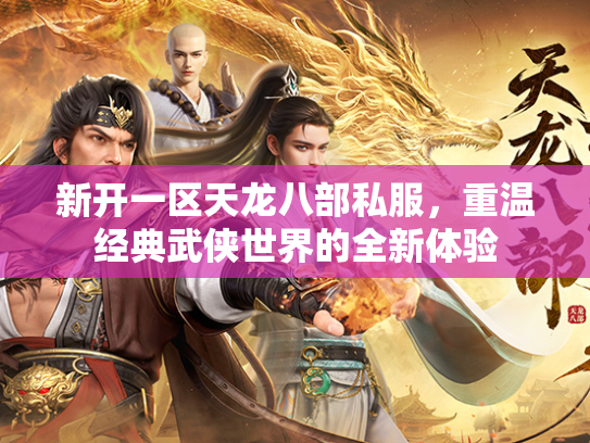 新开一区天龙八部私服，重温经典武侠世界的全新体验  第3张