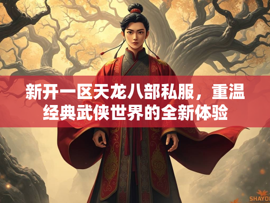 新开一区天龙八部私服，重温经典武侠世界的全新体验  第4张