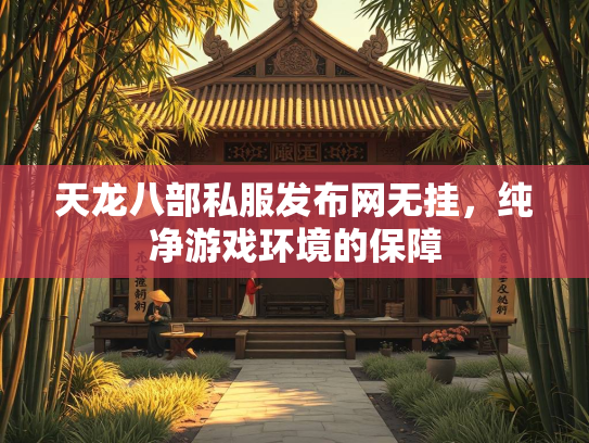 天龙八部私服发布网无挂，纯净游戏环境的保障