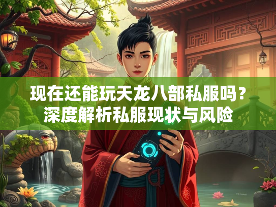 现在还能玩天龙八部私服吗？深度解析私服现状与风险  第4张