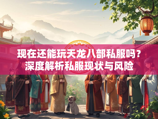 现在还能玩天龙八部私服吗？深度解析私服现状与风险  第1张