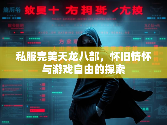 私服完美天龙八部，怀旧情怀与游戏自由的探索  第2张