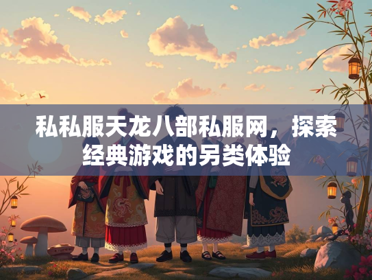 私私服天龙八部私服网，探索经典游戏的另类体验  第2张