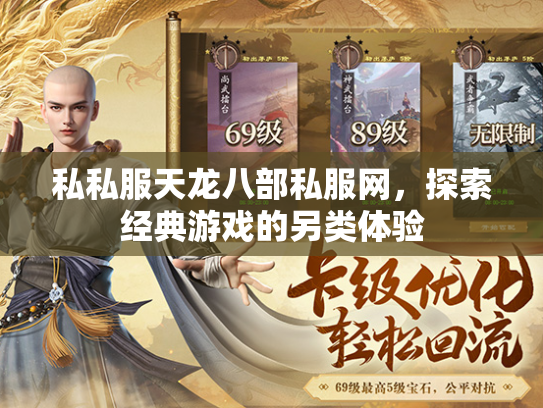 私私服天龙八部私服网，探索经典游戏的另类体验  第3张