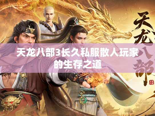 天龙八部3长久私服散人玩家的生存之道