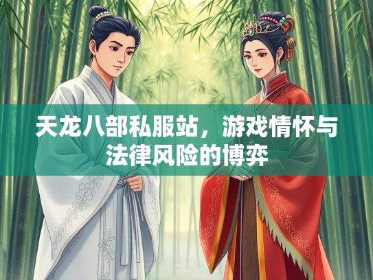天龙八部私服站，游戏情怀与法律风险的博弈  第3张