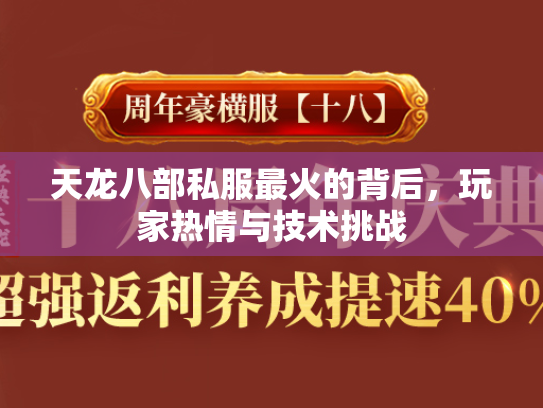 天龙八部私服最火的背后，玩家热情与技术挑战  第2张