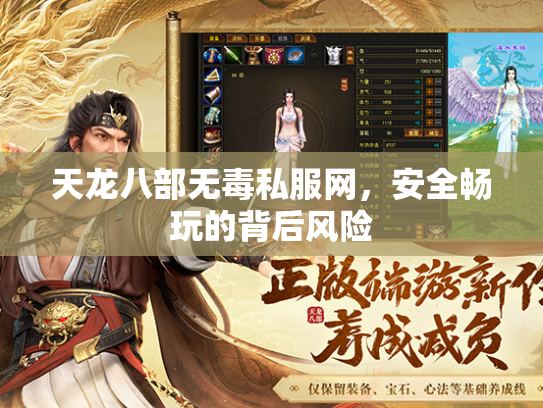 天龙八部无毒私服网，安全畅玩的背后风险  第3张