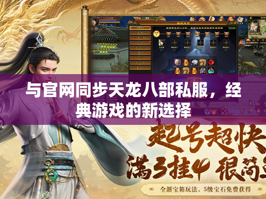 与官网同步天龙八部私服，经典游戏的新选择  第1张