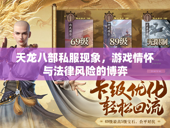 天龙八部私服现象，游戏情怀与法律风险的博弈  第4张