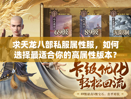 求天龙八部私服属性服，如何选择最适合你的高属性版本？  第2张