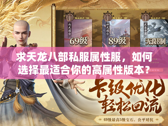 求天龙八部私服属性服，如何选择最适合你的高属性版本？  第3张