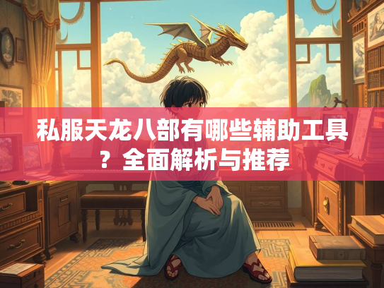 私服天龙八部有哪些辅助工具？全面解析与推荐  第2张
