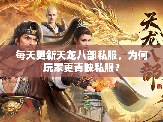 每天更新天龙八部私服，为何玩家更青睐私服？  第2张