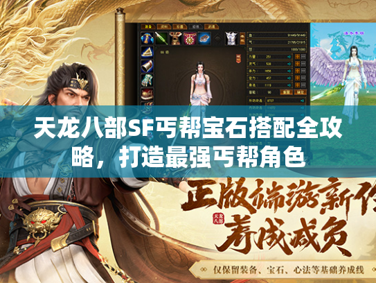 天龙八部SF丐帮宝石搭配全攻略，打造最强丐帮角色  第2张