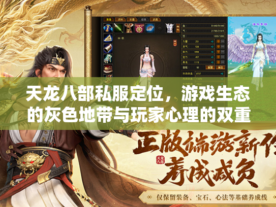 天龙八部私服定位，游戏生态的灰色地带与玩家心理的双重博弈  第2张