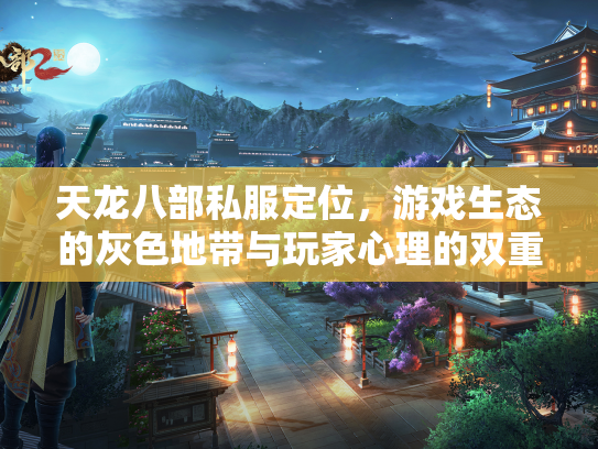 天龙八部私服定位，游戏生态的灰色地带与玩家心理的双重博弈  第3张