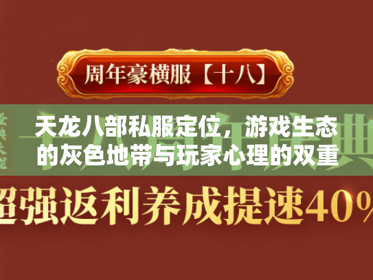 天龙八部私服定位，游戏生态的灰色地带与玩家心理的双重博弈  第1张