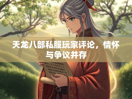 天龙八部私服玩家评论，情怀与争议并存  第1张