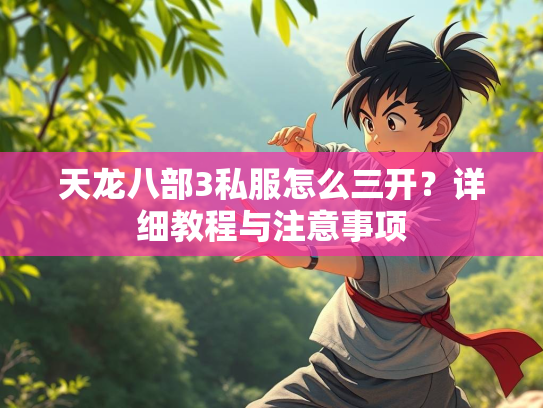 天龙八部3私服怎么三开？详细教程与注意事项  第2张